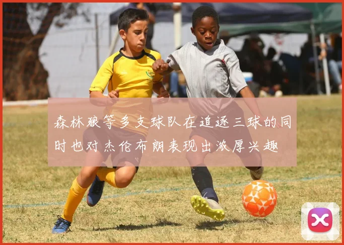 森林狼等多支球队在追逐三球的同时也对杰伦布朗表现出浓厚兴趣