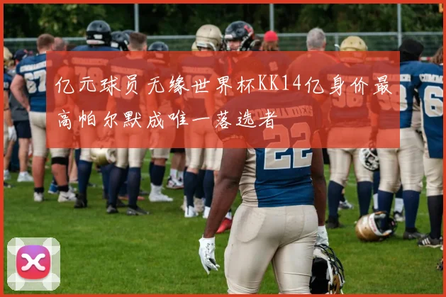 亿元球员无缘世界杯KK14亿身价最高帕尔默成唯一落选者